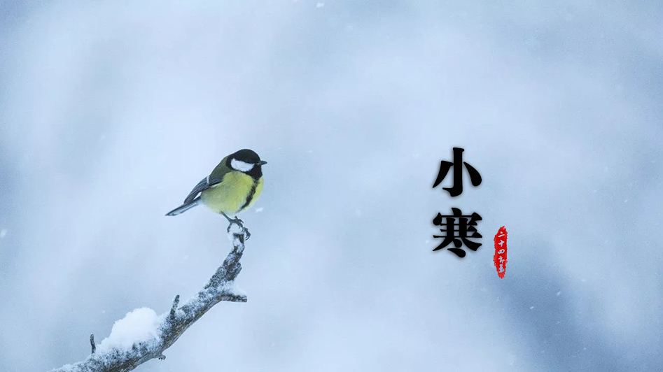 勿因寒露未到疏防寒露风