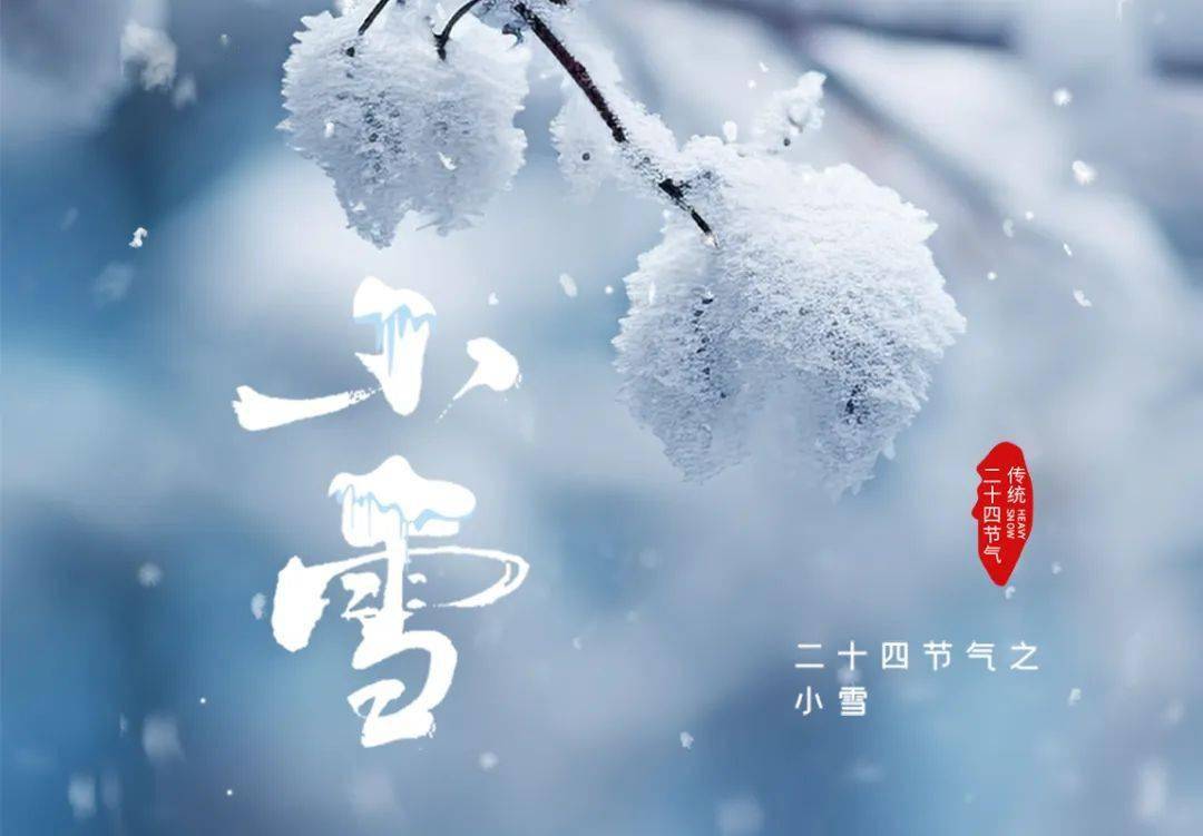xiaoxue2