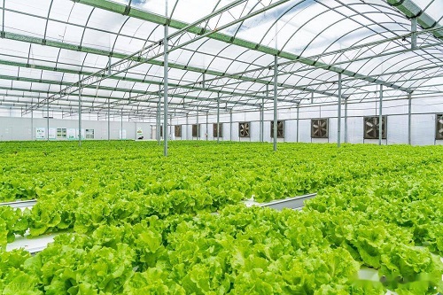 8424f79a8ab14b33881c0a12dfc21ba6 8424f79a8ab14b33881c0a12dfc21ba6