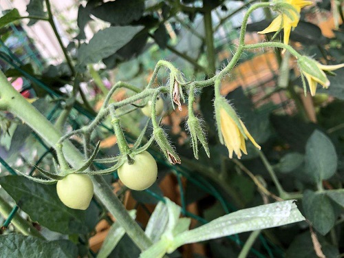 da7a1f05d1744a21bcc37b27cde6cab9 da7a1f05d1744a21bcc37b27cde6cab9