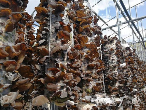 ee25d360c62dfa142a346368ce315104 ee25d360c62dfa142a346368ce315104