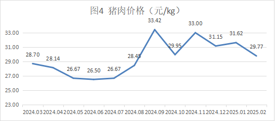 20250204