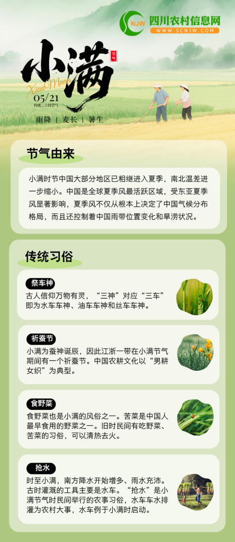 5.12小满节气宣传长图海报_副本