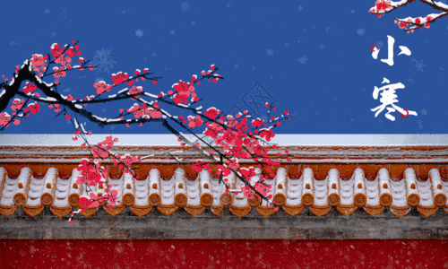 xiaoh5