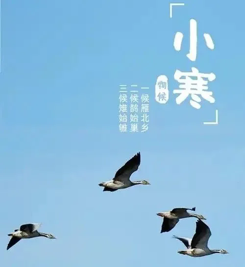 xiaoh9.webp
