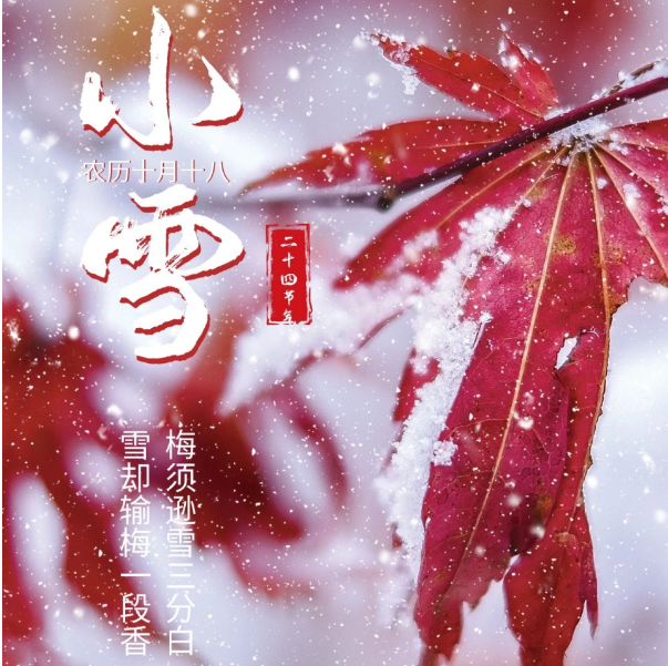 xiaoxue1