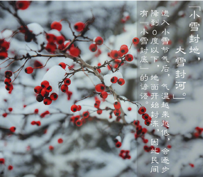 xiaoxue4