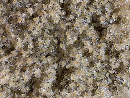 08e8bfac9ab45ae4098dbfcac567428e