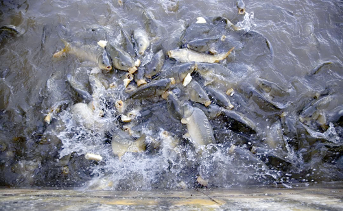 0c37c072cb0ea93c3088aaf3abd854c5 0c37c072cb0ea93c3088aaf3abd854c5