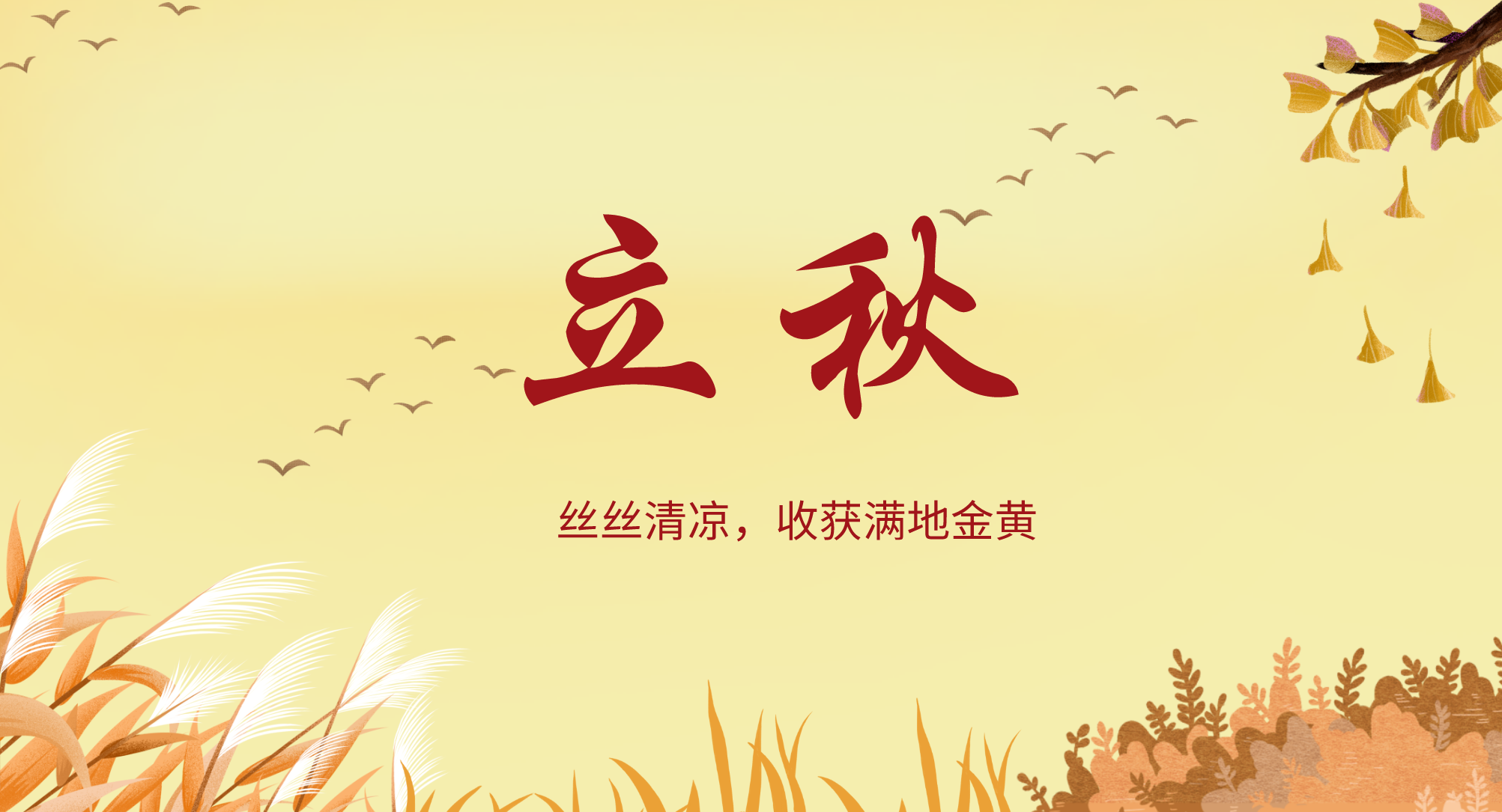 2025liqiu6