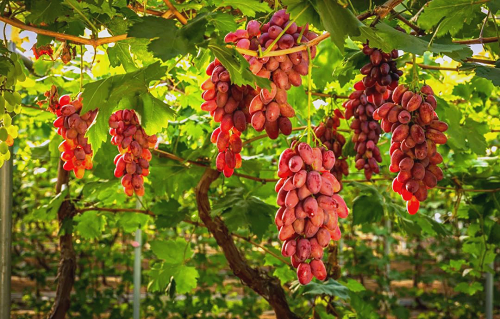 26b4dd21a2a98d02c867bc5a700fa4eb 26b4dd21a2a98d02c867bc5a700fa4eb