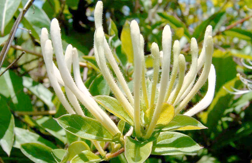 33a609d7b0bbe73dd1261b287638476a 33a609d7b0bbe73dd1261b287638476a