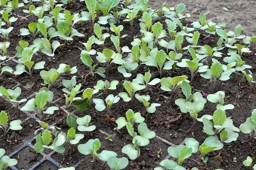 38dbb6fd5266d0161afb488f712cd51734fa354a.webp 38dbb6fd5266d0161afb488f712cd51734fa354a.webp