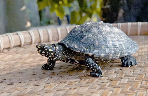 4d819a7a41675ab91bb62c9d6c3eb830