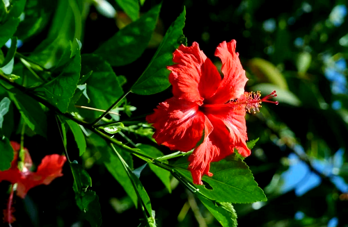 4e5d0d3818756e2413e6b468e6da0c58