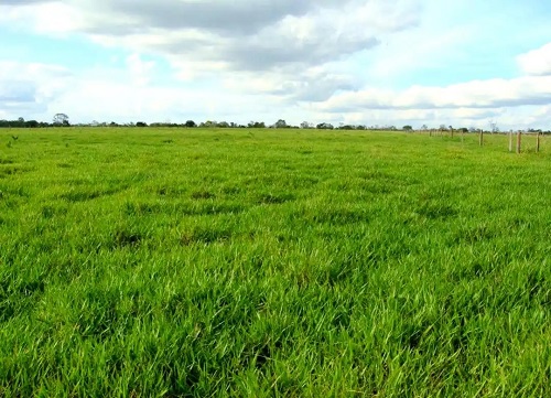 6a600c338744ebf85ec8b68bb3ac61256159a7aa.webp 6a600c338744ebf85ec8b68bb3ac61256159a7aa.webp