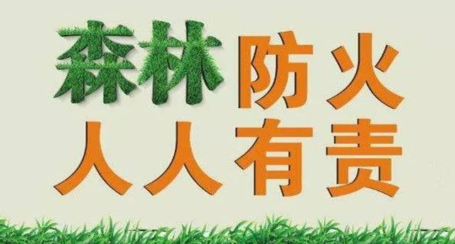 图片7