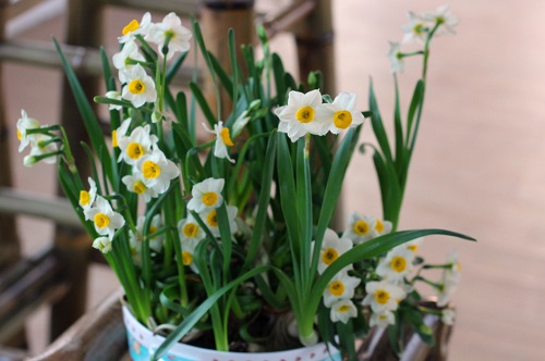 7acb0a46f21fbe096b63050952371b338744ebf8072c 7acb0a46f21fbe096b63050952371b338744ebf8072c