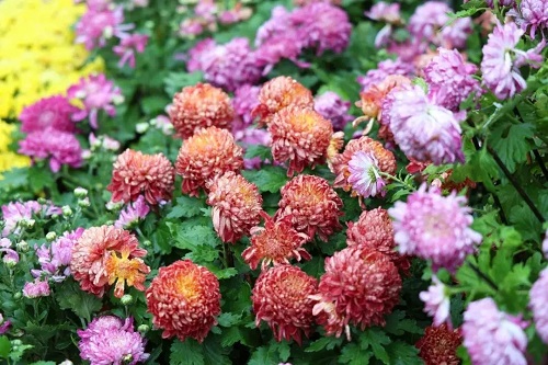 826ef9caf57c439d9f9d5e3cb9f00ce7.webp 826ef9caf57c439d9f9d5e3cb9f00ce7.webp