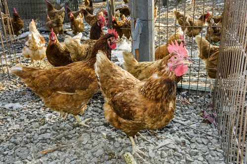 859399d877105f42329c92224537d13c (2) 859399d877105f42329c92224537d13c (2)