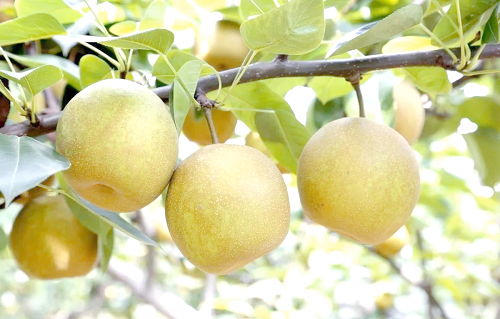 93f0c165b0cf60ec454b339b32a13b89 93f0c165b0cf60ec454b339b32a13b89