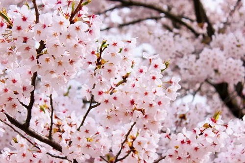 a3f0442784fd429c96e1e7f430201fa0.webp