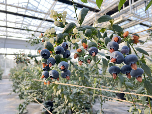 aed9-909eff1f29d2b9f4ddfcc077ad7f96f7 aed9-909eff1f29d2b9f4ddfcc077ad7f96f7