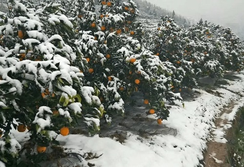 b1eccb90d20d4465adf57a3e6b8b91f8.webp b1eccb90d20d4465adf57a3e6b8b91f8.webp