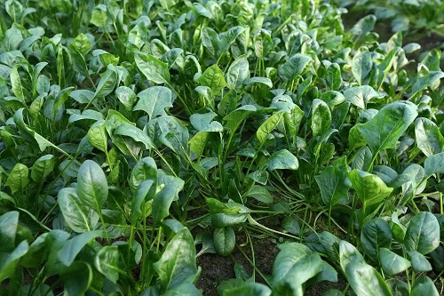 d31b0ef41bd5ad6ebe07847b635285d4b4fd3cca.webp d31b0ef41bd5ad6ebe07847b635285d4b4fd3cca.webp