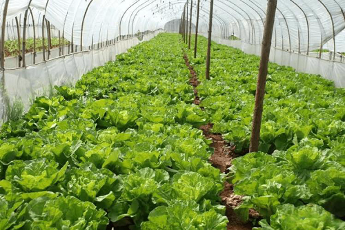 downloaded-image (11)