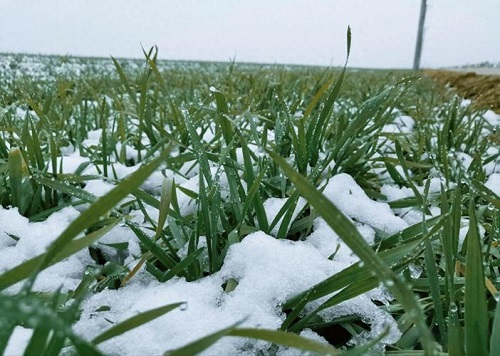 downloaded-image (2) downloaded-image (2)