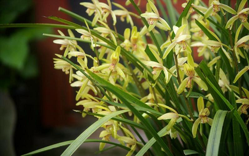 downloaded-image downloaded-image