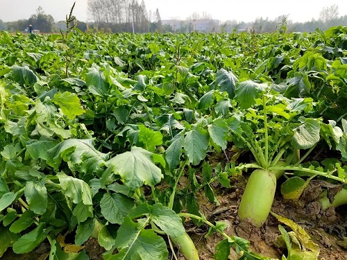 eac4b74543a98226c8d7a27e737dfa114b90eb61.webp eac4b74543a98226c8d7a27e737dfa114b90eb61.webp