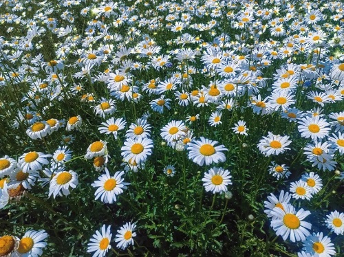 src=http___safe-img.xhscdn.com_bw1_1fecfd02-aa16-4e6c-bbbc-37cfc03dd78c_imageView2_2_w_1080_format_jpg&refer=http___safe-img.xhscdn.webp