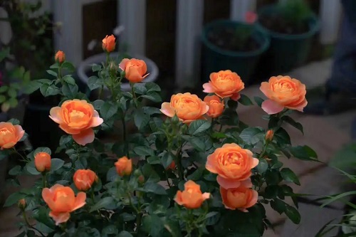 src=http___safe-img.xhscdn.com_bw_7fae5e6e-77d6-467d-8f47-294a5bb12168_imageView2_2_w_1080_format_jpg&refer=http___safe-img.xhscdn.webp