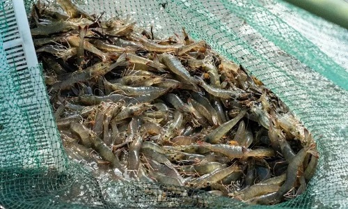 u=1063414389,3990117669&fm=3074&app=3074&f=JPEG u=1063414389,3990117669&fm=3074&app=3074&f=JPEG