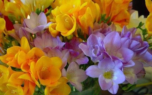 u=1066299771,3132928687&fm=253&fmt=auto&app=138&f=JPEG