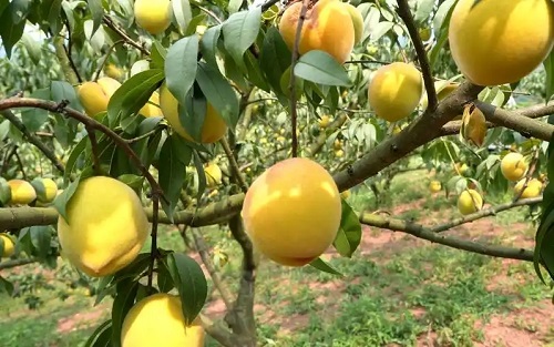 u=134265166,2643586685&fm=253&fmt=auto&app=120&f=JPEG.webp