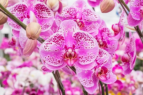 u=1364999584,3036545368&fm=253&fmt=auto&app=120&f=JPEG.webp
