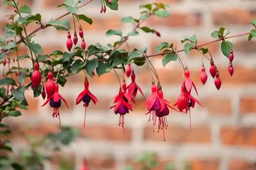 u=1669728665,980963016&fm=253&fmt=auto&app=138&f=JPEG.webp