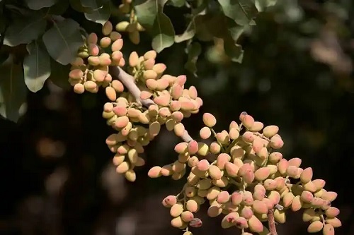 u=209605235,1473989226&fm=253&fmt=auto&app=138&f=JPEG.webp