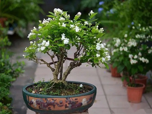 u=2363878538,2355125114&fm=253&fmt=auto&app=120&f=JPEG.webp