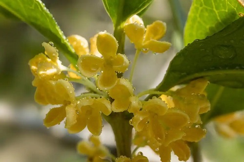 u=2597374014,4150469142&fm=253&fmt=auto&app=120&f=JPEG.webp