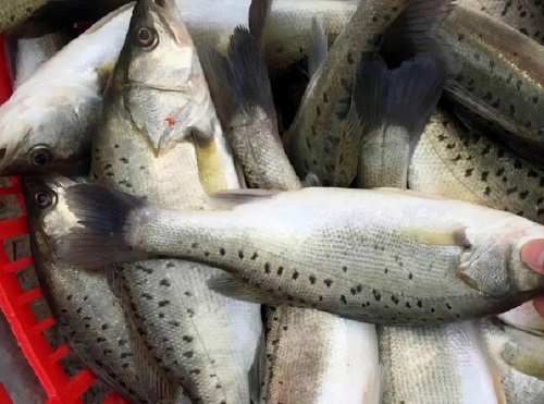 u=2980734667,2929322424&fm=253&fmt=auto&app=120&f=JPEG.webp u=2980734667,2929322424&fm=253&fmt=auto&app=120&f=JPEG.webp