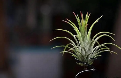 u=3085715125,1502119861&fm=253&fmt=auto&app=120&f=JPEG.webp
