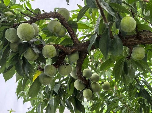 u=3180589471,2133444207&fm=253&fmt=auto&app=120&f=JPEG u=3180589471,2133444207&fm=253&fmt=auto&app=120&f=JPEG