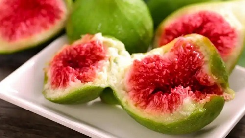 u=3552456054,1896117429&fm=253&fmt=auto&app=138&f=JPEG.webp