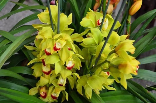 u=3689852316,3723949596&fm=253&fmt=auto&app=138&f=JPEG.webp