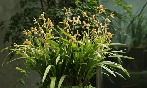 u=3919569368,2269124351&fm=253&fmt=auto&app=120&f=JPEG.webp