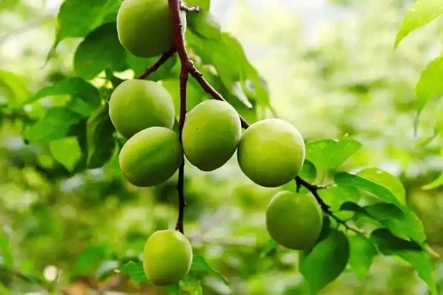 u=3922470109,2739119716&fm=253&fmt=auto&app=138&f=JPEG.webp